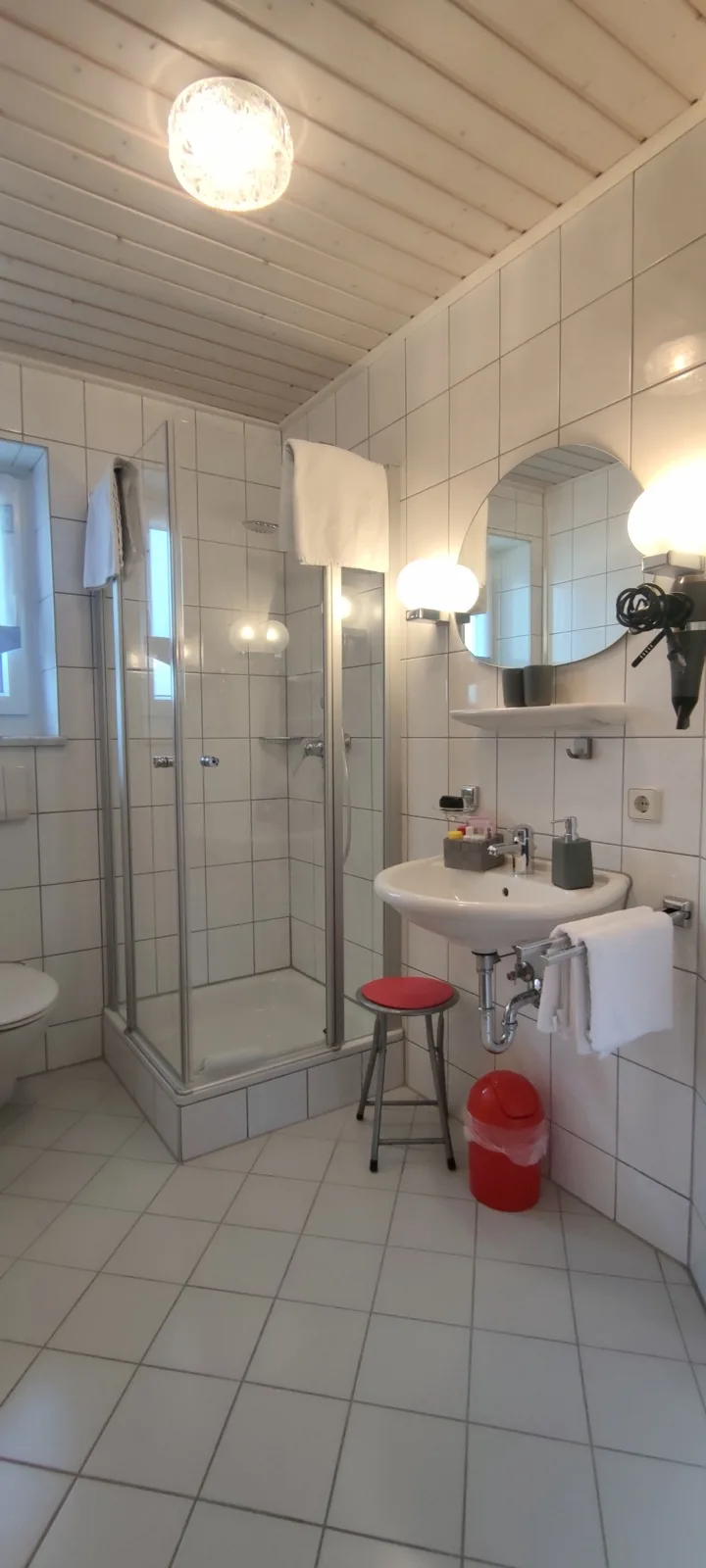 Zimmer 2 – Dusche und Waschbecken